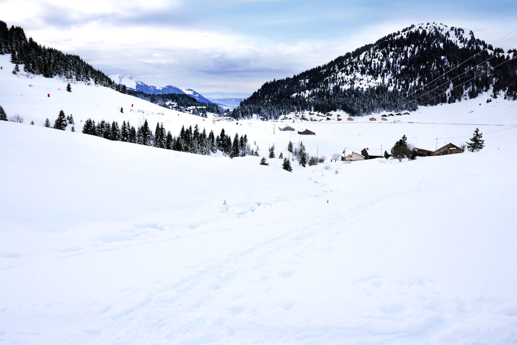 balade plateau sommand haute-savoie