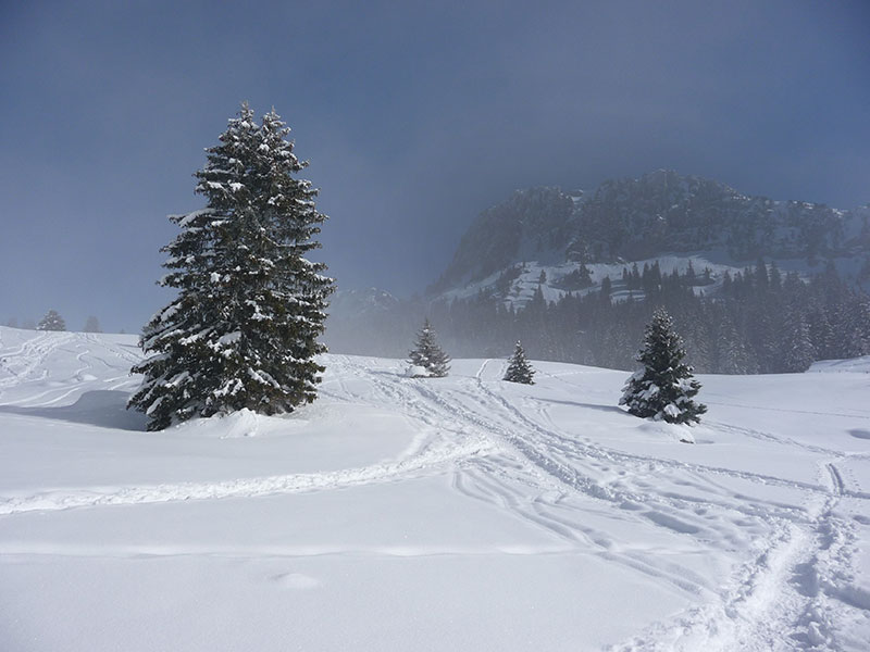 sortie au Plateau des Glières en hiver Haute-Savoie