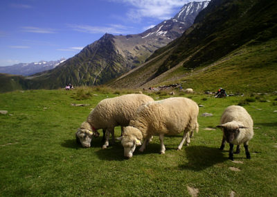 plus belles balades Haute-Savoie Col du Tricot