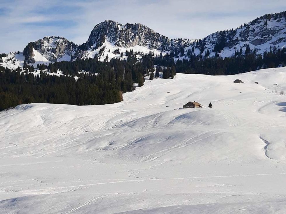 Randonnée Plateau Des Glières Notre Dame Des Neiges